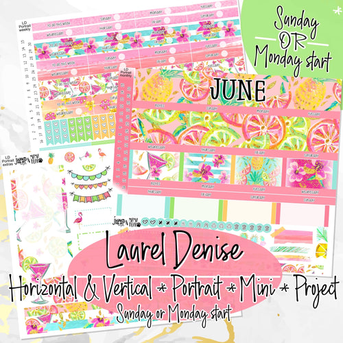 June Summer Vibes - Laurel Denise Planner stickers - Portrait, Mini, Vertical, Horizontal & Project