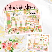 Load image into Gallery viewer, June Summer Delight monthly - Hobonichi Weeks personal planner