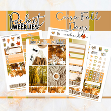 Load image into Gallery viewer, Crisp Fall Days - POCKET Mini Weekly Kit Planner stickers